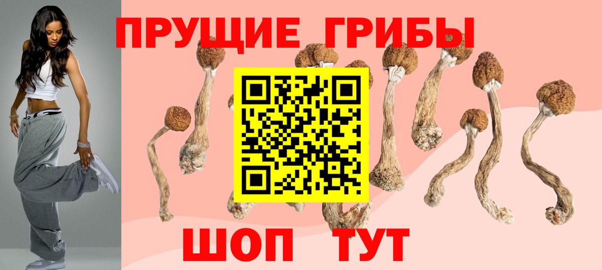 Галлюциногенные грибы Cubensis  Галлюциногенные грибы ЛСД  Вход с VPN  Севастополь 